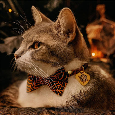 Bow Tie Cat Collar Set - "Spellbound" - Spiderweb Cat Collar with Bow Tie / Orange & Black, Halloween, Spider / Cat, Kitten, Small Dog Sizes