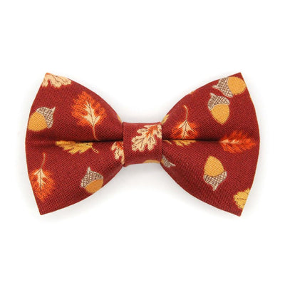 Bow Tie Cat Collar Set - "Acorn Hill" - Burgundy Fall Cat Collar with Bow Tie / Oak & Maple Leaves, Thanksgiving / Cat, Kitten, Small Dog Sizes