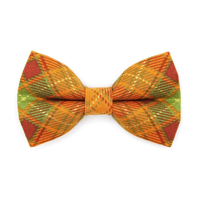 Autumn Cat Bow Tie - "Maplewood" - Burnt Orange Fall Plaid Bow Tie for Cat Collar / Harvest, Thanksgiving / Cat, Kitten + Small Dog Bowtie