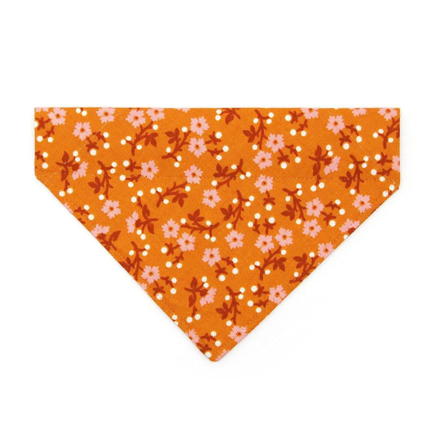 Floral Cat Bandana - "Ginger Blossom" - Cinnamon Orange Pink Bandana for Cat + Small Dog / Cottagecore / Slide-on Bandana / Over-the-Collar