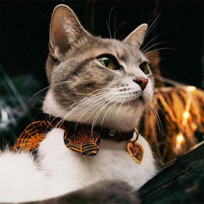 Spiderweb Cat Collar - "Spellbound" - Spooky Halloween Cat Collar / Breakaway Buckle or Non-Breakaway / Cat, Kitten + Small Dog Sizes