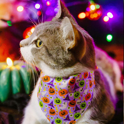 Halloween Cat Bandana - "Creepy Cuties - Purple" - Spooky Purple Bandana for Cat + Small Dog / Ghost, Pumpkin, Skull / Slide-on Bandana / Over-the-Collar