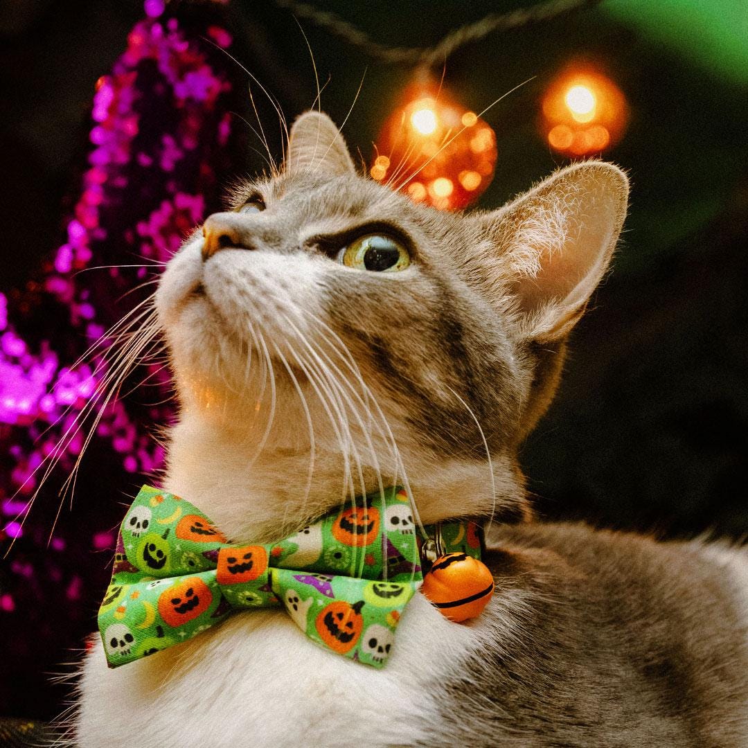 Halloween Cat Bandana - "Creepy Cuties - Green" - Spooky Green Bandana for Cat + Small Dog / Ghost, Pumpkin, Skull / Slide-on Bandana / Over-the-Collar