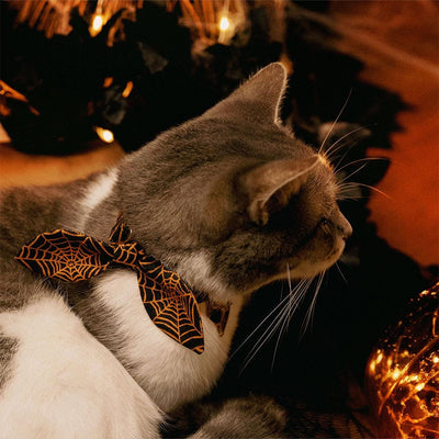 Cat Collar + Flower Set - "Spellbound" - Halloween Spiderweb Cat Collar w/ Orange Felt Flower (Detachable) / Cat, Kitten + Small Dog Sizes