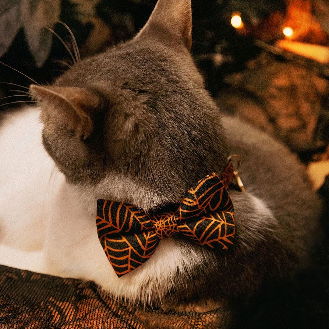 Spiderweb Cat Bow Tie - "Spellbound" - Halloween Bow Tie for Cat Collar / Spider, Orange & Black, Spooky / Cat, Kitten + Small Dog Bowtie