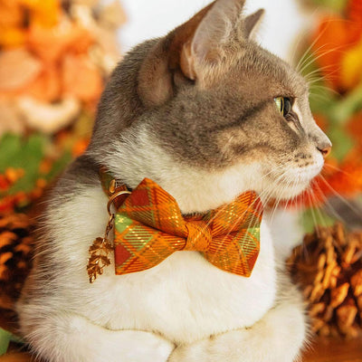 Autumn Cat Bow Tie - "Maplewood" - Burnt Orange Fall Plaid Bow Tie for Cat Collar / Harvest, Thanksgiving / Cat, Kitten + Small Dog Bowtie