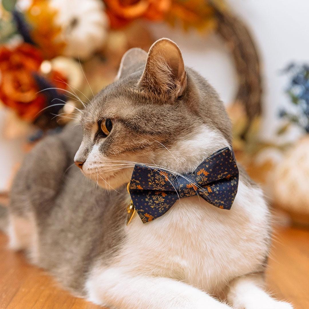 Bow Tie Cat Collar Set - "Indigo Manor" - Navy Blue Cat Collar with Bow Tie / Farmhouse, William Morris / Cat, Kitten, Small Dog Sizes