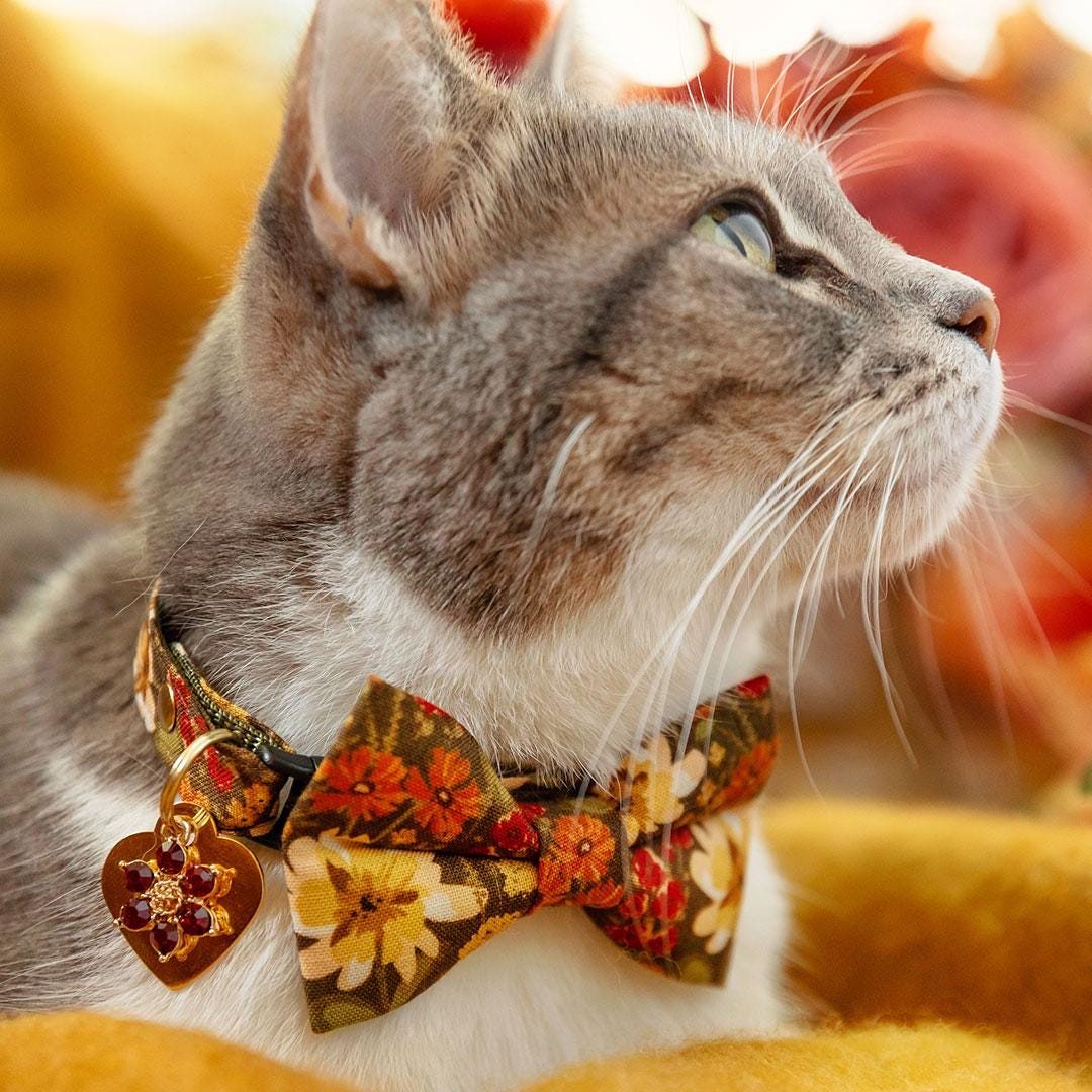 Bow Tie Cat Collar Set - "Autumn Fields" - Country Floral Cat Collar with Bow Tie / Fall, Wildflower, Farmhouse / Cat, Kitten, Small Dog Sizes