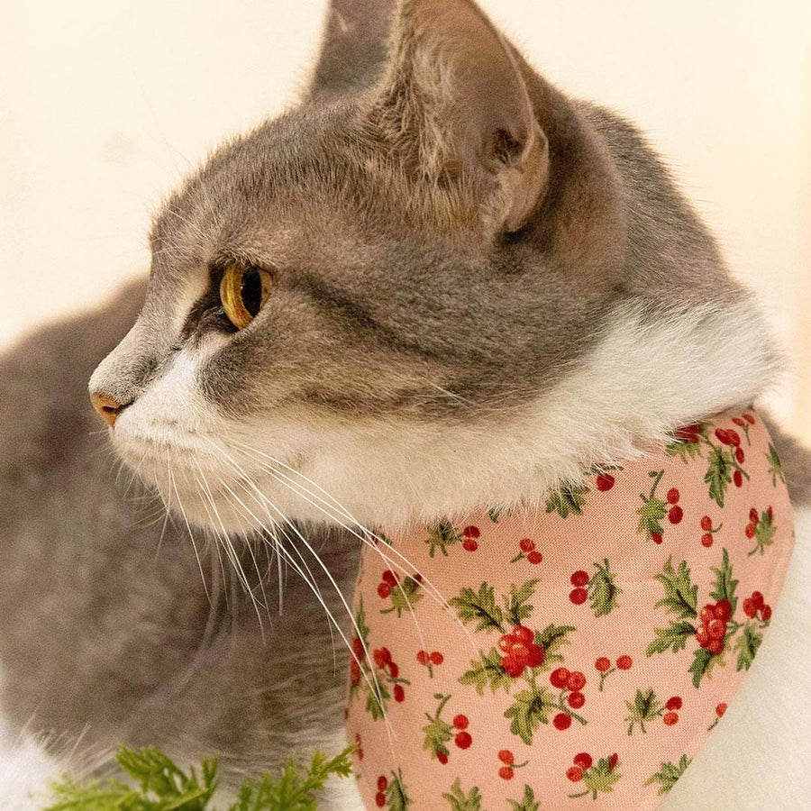 Holiday Cat Bandana - "Sugarplum Pink" - Pink Holly Berry Bandana for Cat + Small Dog / Cottagecore Christmas, Winter / Slide-on Bandana
