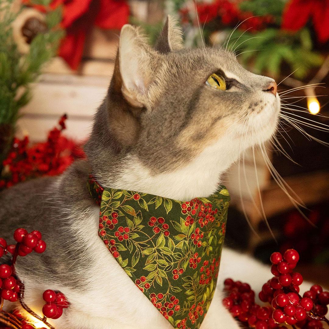 Holiday Cat Collar - "Yuletide Berries" - Green & Red Holly Berry Christmas Cat Collar / Breakaway Buckle or Non-Breakaway / Cat, Kitten + Small Dog Sizes