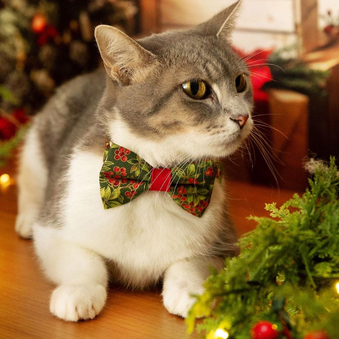 Bow Tie Cat Collar Set - "Yuletide Berries" - Christmas Holly Berry Cat Collar with Bow Tie / Holiday Red & Green / Cat, Kitten, Small Dog Sizes