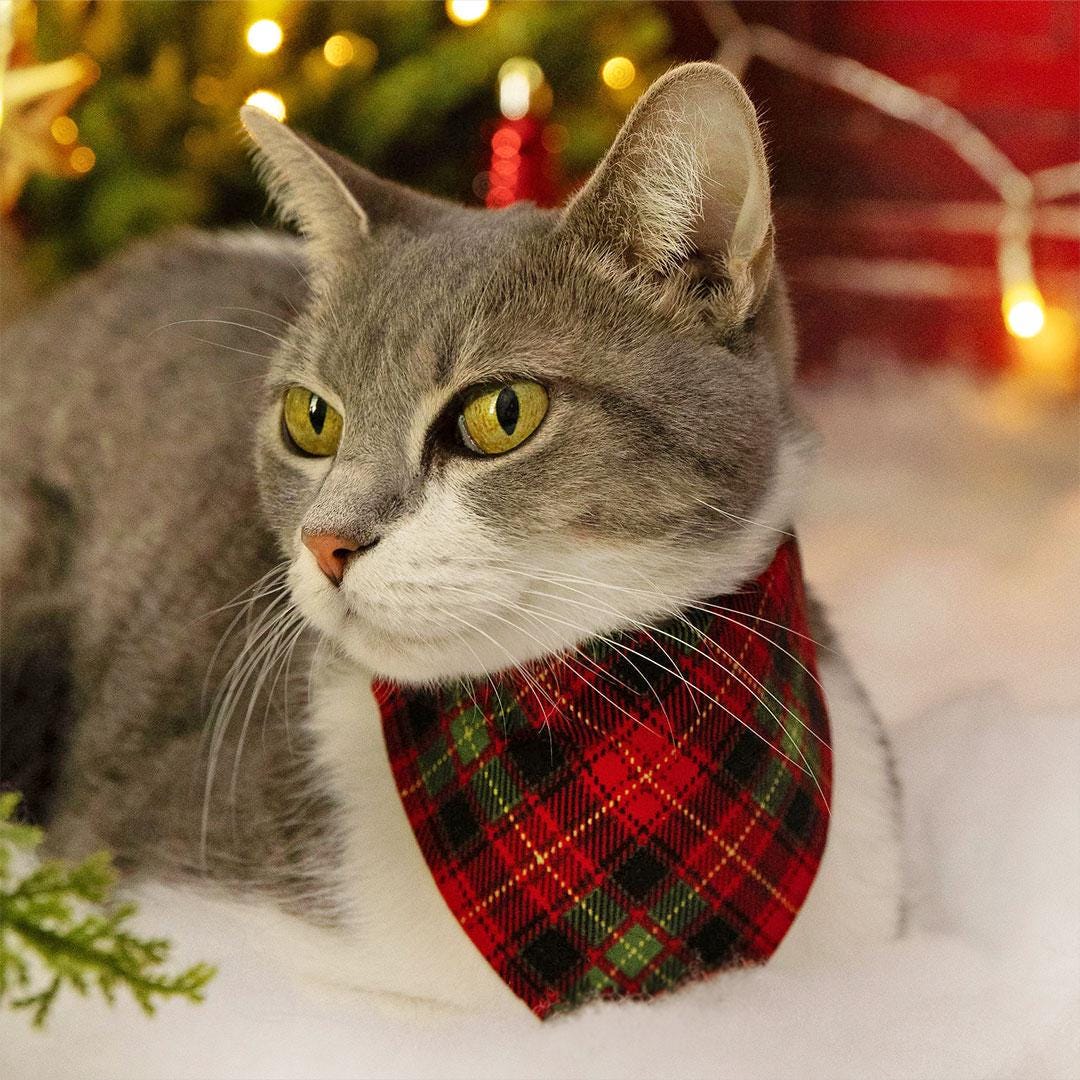Plaid Cat Bandana - "Winterwood" - Red Holiday Bandana for Cat + Small Dog / Rustic Christmas, Winter / Slide-on Bandana