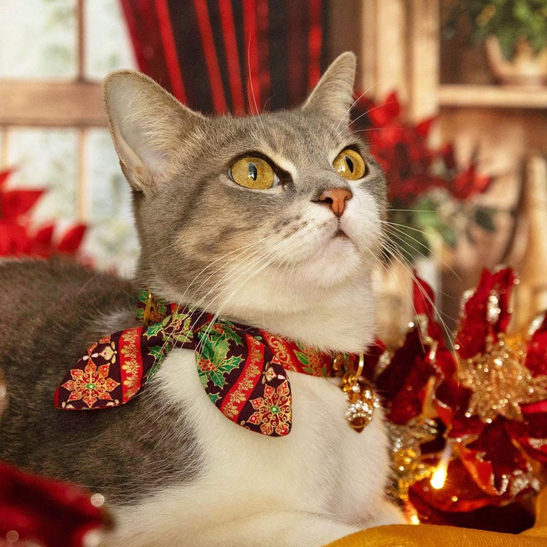 Holiday Cat Collar + Bunny Ear Bow Set - "Victorian Christmas - Burgundy" - Elegant Cat Collar w/ Matching Bunny Bow Tie / Tie-On Scarf / Cat, Kitten + Small Dog Sizes