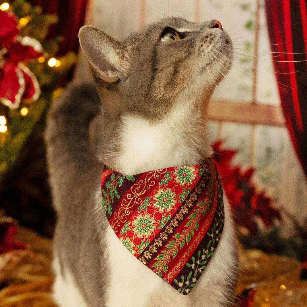 Holiday Cat Bandana - "Victorian Christmas - Burgundy" - Elegant Holly Mistletoe Poinsettia Bandana for Cat + Small Dog / Slide-on Bandana