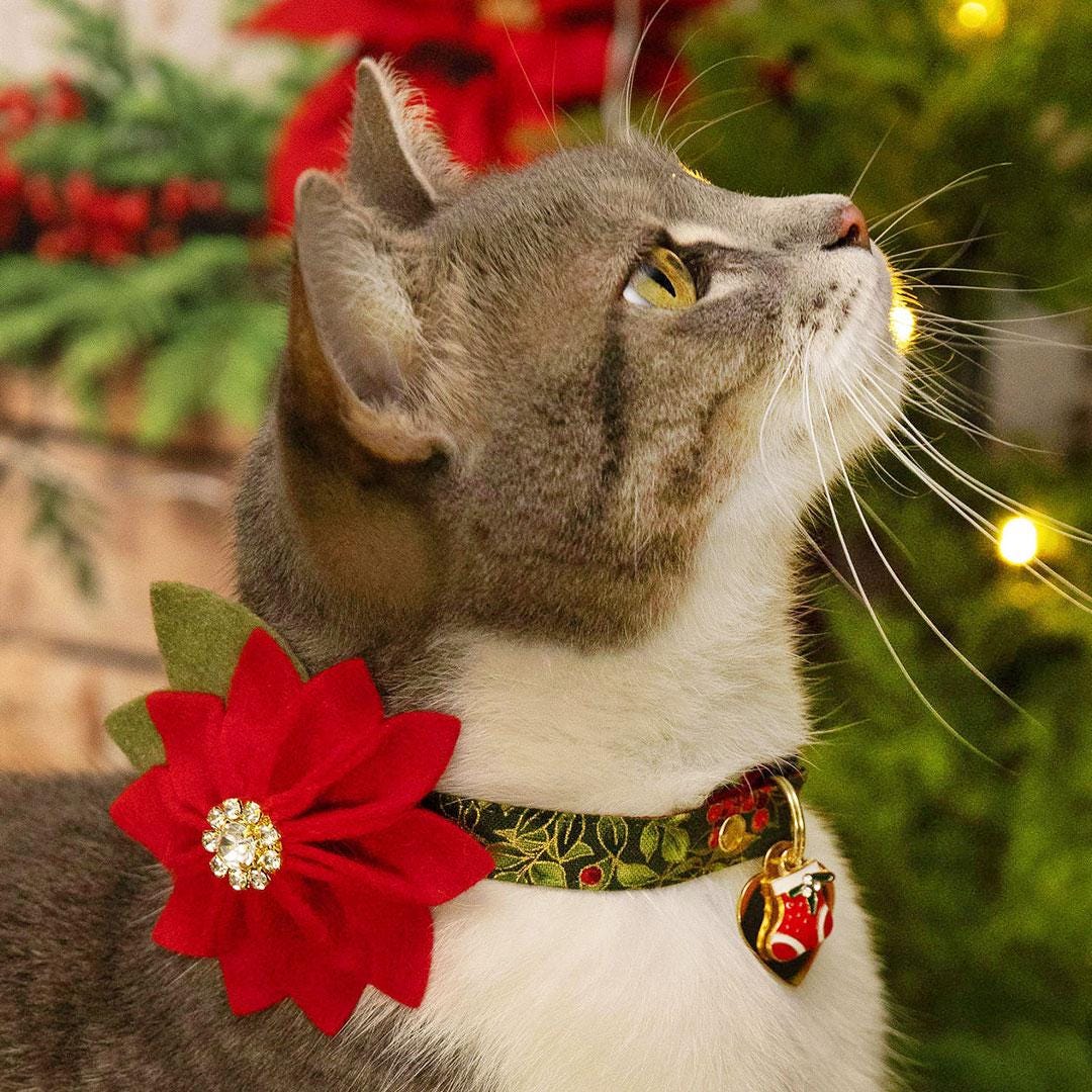 Holiday Cat Collar + Flower Set - "Yuletide Berries" - Green Holly Berry Cat Collar + Specialty Christmas Red Poinsettia Felt Flower (Detachable)