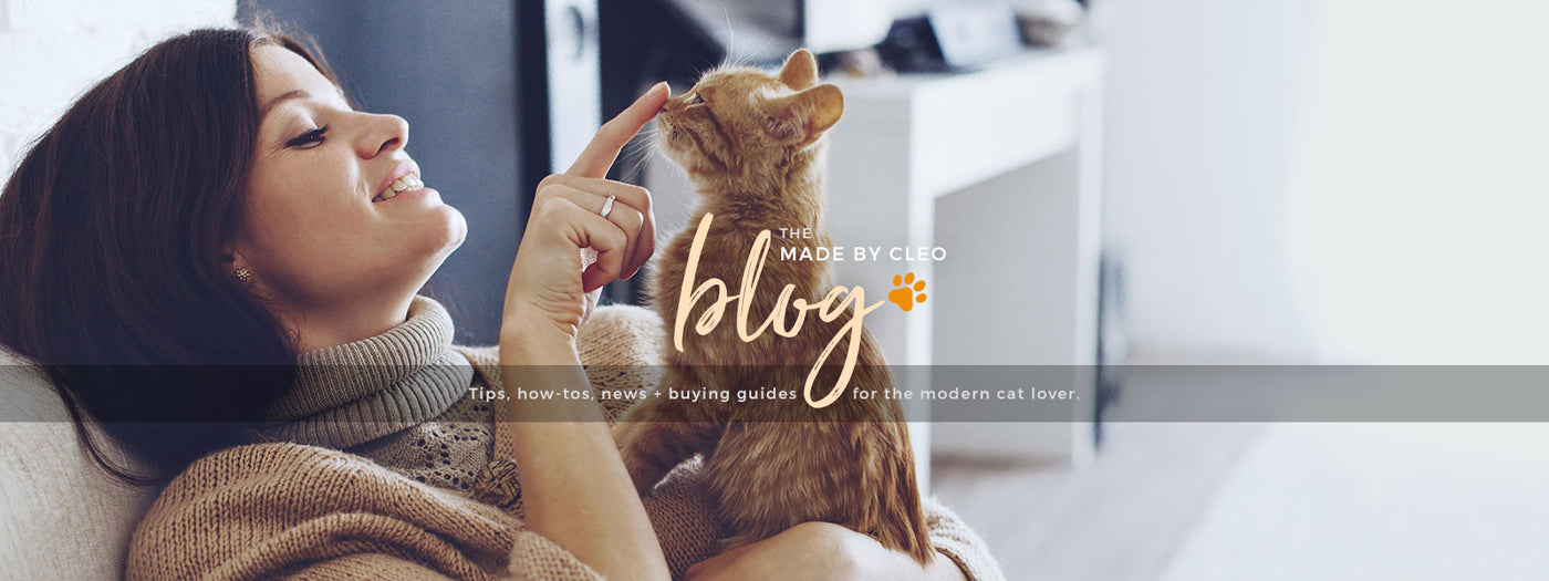Made By Cleo Blog