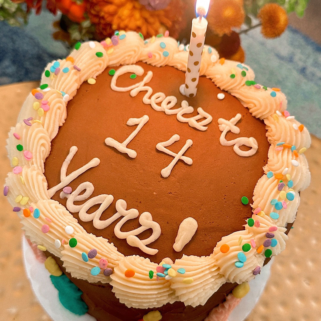 Made By Cleo Celebrates 14 Years! 🎂🧡🐾