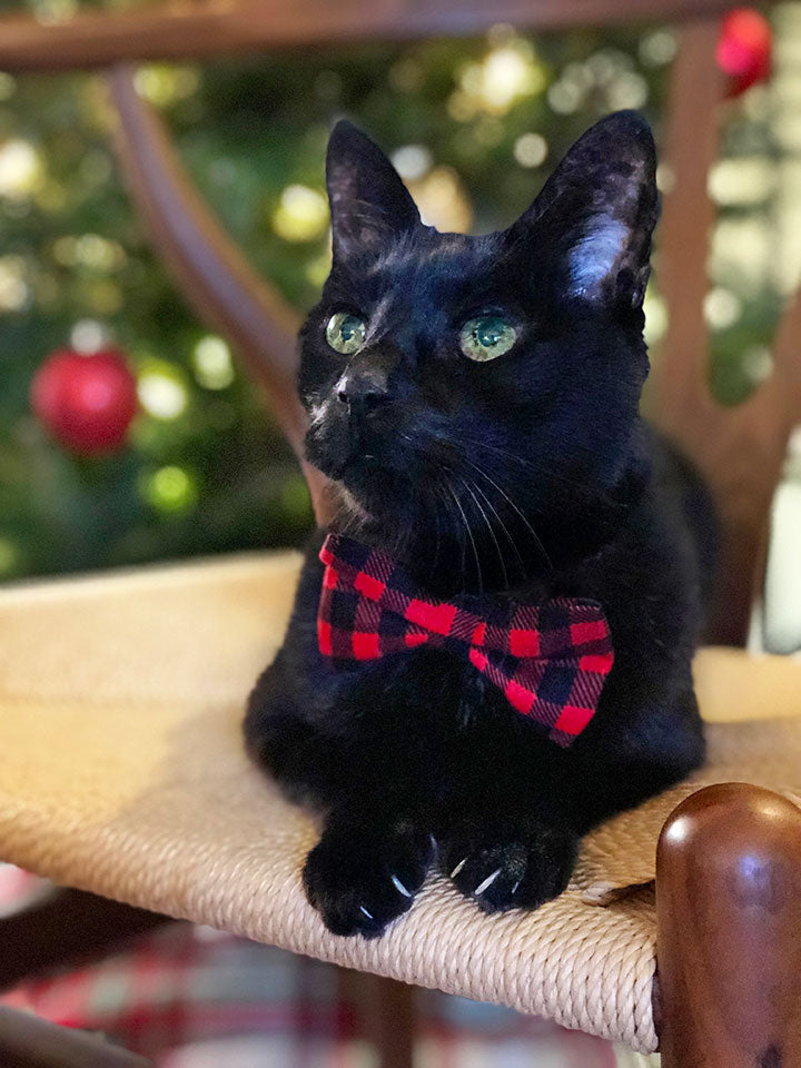 Bow Tie Cat Collar Set - "Cozy Cabin Red" - Buffalo Plaid Cat Collar + Bow Tie (Removable) / Breakaway or Non-Breakaway