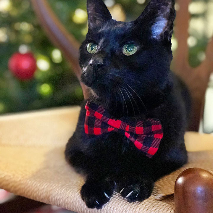Pet Bow Tie - "Cozy Cabin Red" - Buffalo Check Plaid in Red - Fall / Winter / Holiday / Hipster - Detachable Bowtie for Cats + Dogs