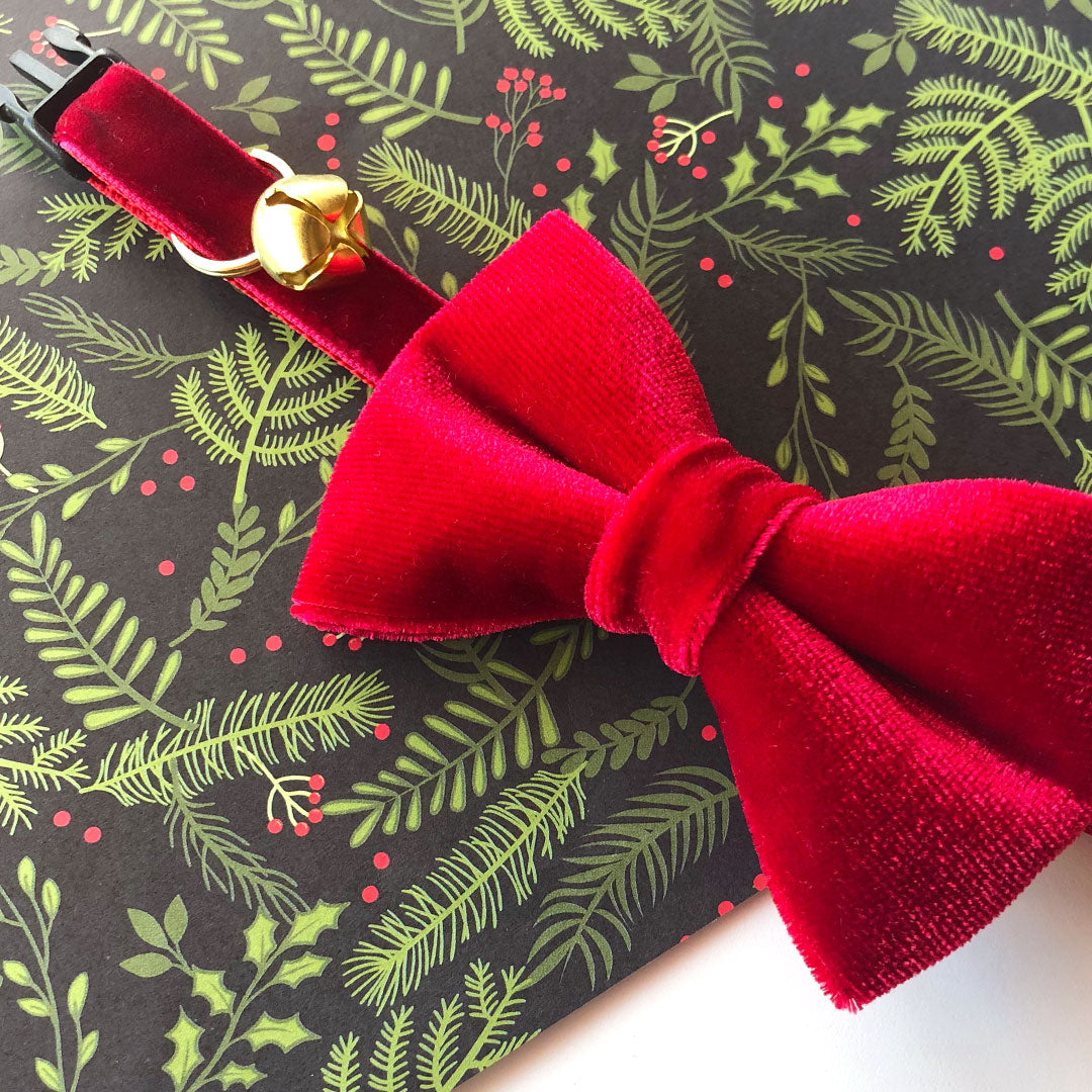 Pet Bow Tie (REGULAR SIZE) - "Velvet - Garnet Red" - Christmas, Holidays & Wedding Bow Tie | For Adult Cat + Small Dog