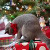 Pet Bow Tie - "Velvet - Garnet Red" - Rich Lustrous Soft Red Velvet - Christmas / Holiday - Detachable Bowtie for Cats + Dogs