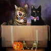 Halloween Pet Bow Tie - "Witch's Brew" - Candy, Witch Hats, Ghosts & Pumpkins Bowtie / For Cats + Small Dogs / Removable (One Size)