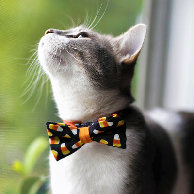 Halloween Bow Tie Cat Collar Set - "Trick or Treat" - Cat Collar + Candy Corn Bow Tie/Multiple Sizes