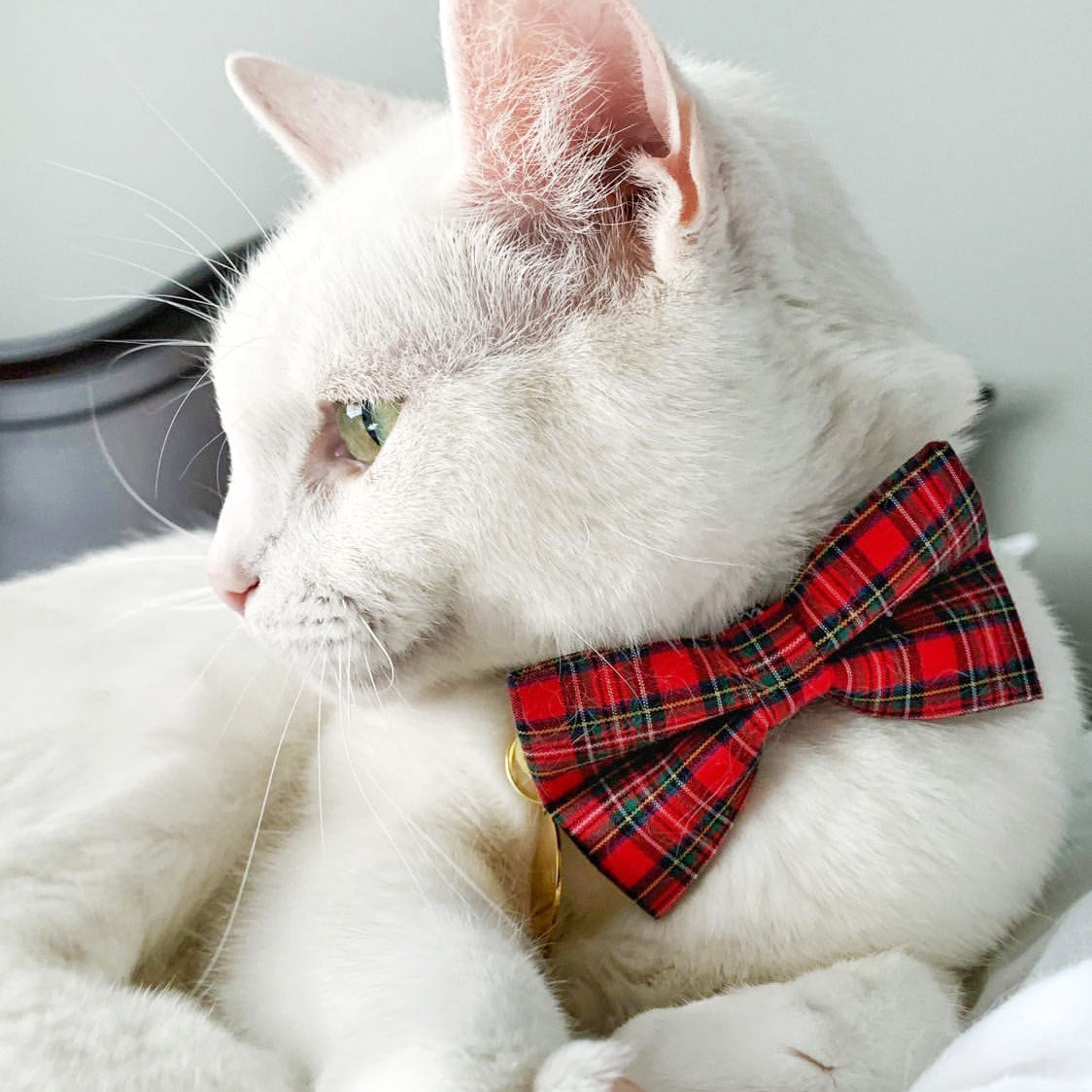 Red Holiday Tartan Cat Collar - "Hearthside" - Christmas Plaid Collar - Breakaway Buckle or Non-Breakaway - Sizes for Cats & Small Dogs