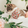 Rifle Paper Co® Pet Bandana - "Juliet" - Blush Floral Bandana for Cat + Small Dog / Slide-on Bandana / Over-the-Collar (One Size)