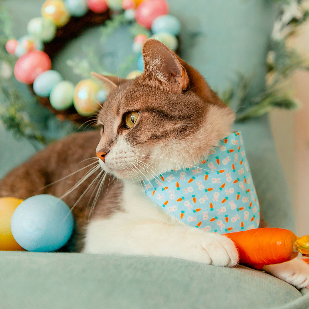 Pet Bandana - "Bunnies & Carrots Blue" - Light Aqua Bunny Bandana for Cat + Small Dog / Easter / Slide-on Bandana / Over-the-Collar (One Size)