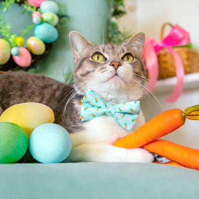 Pet Bow Tie - "Bunnies & Carrots Blue" - Light Aqua Bunny Bow Tie / Easter, Spring / For Cats + Small Dogs (One Size)