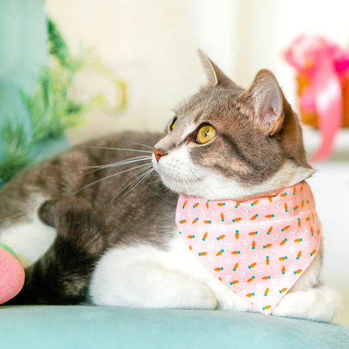 Pet Bandana - "Bunnies & Carrots Pink" - Pastel Pink Bunny Bandana for Cat + Small Dog / Easter / Slide-on Bandana / Over-the-Collar (One Size)
