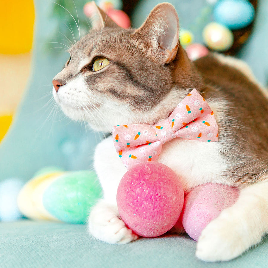 Bow Tie Cat Collar Set - "Bunnies & Carrots Pink" - Light Pink Bunny Cat Collar w/ Matching Bowtie / Easter / Cat, Kitten, Small Dog Sizes