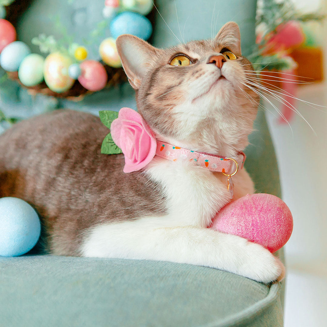 Cat Collar + Flower Set - "Bunnies & Carrots Pink" - Light Pink Bunny Cat Collar w/ Baby Pink Felt Flower (Detachable)
