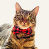Pet Bow Tie - "Cozy Cabin Red" - Buffalo Check Plaid in Red - Fall / Winter / Holiday / Hipster - Detachable Bowtie for Cats + Dogs