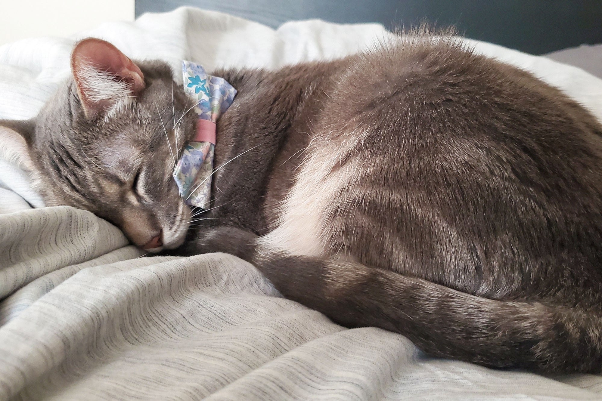Bow Tie Cat Collar Set - "Willow" - Light Pink, Purple & Blue Flower Cat Collar w/ Matching Bow Tie (Removable)
