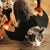Bat Wing Costume for Cat / Halloween Photo Prop for Pet / Cat Halloween Costume / Fits Cats + Small Dogs