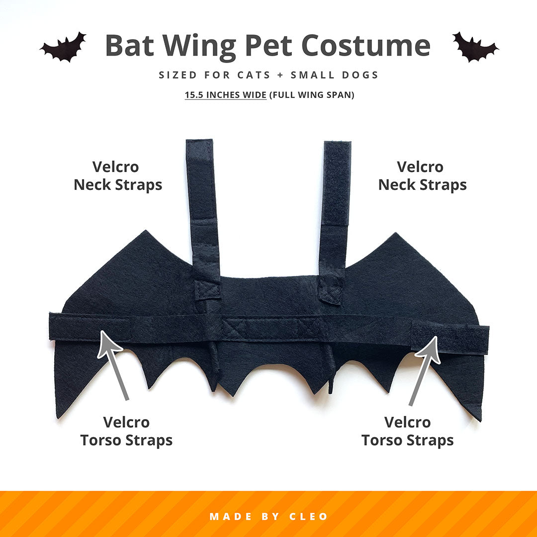 Bat Wing Costume for Cat / Halloween Photo Prop for Pet / Cat Halloween Costume / Fits Cats + Small Dogs