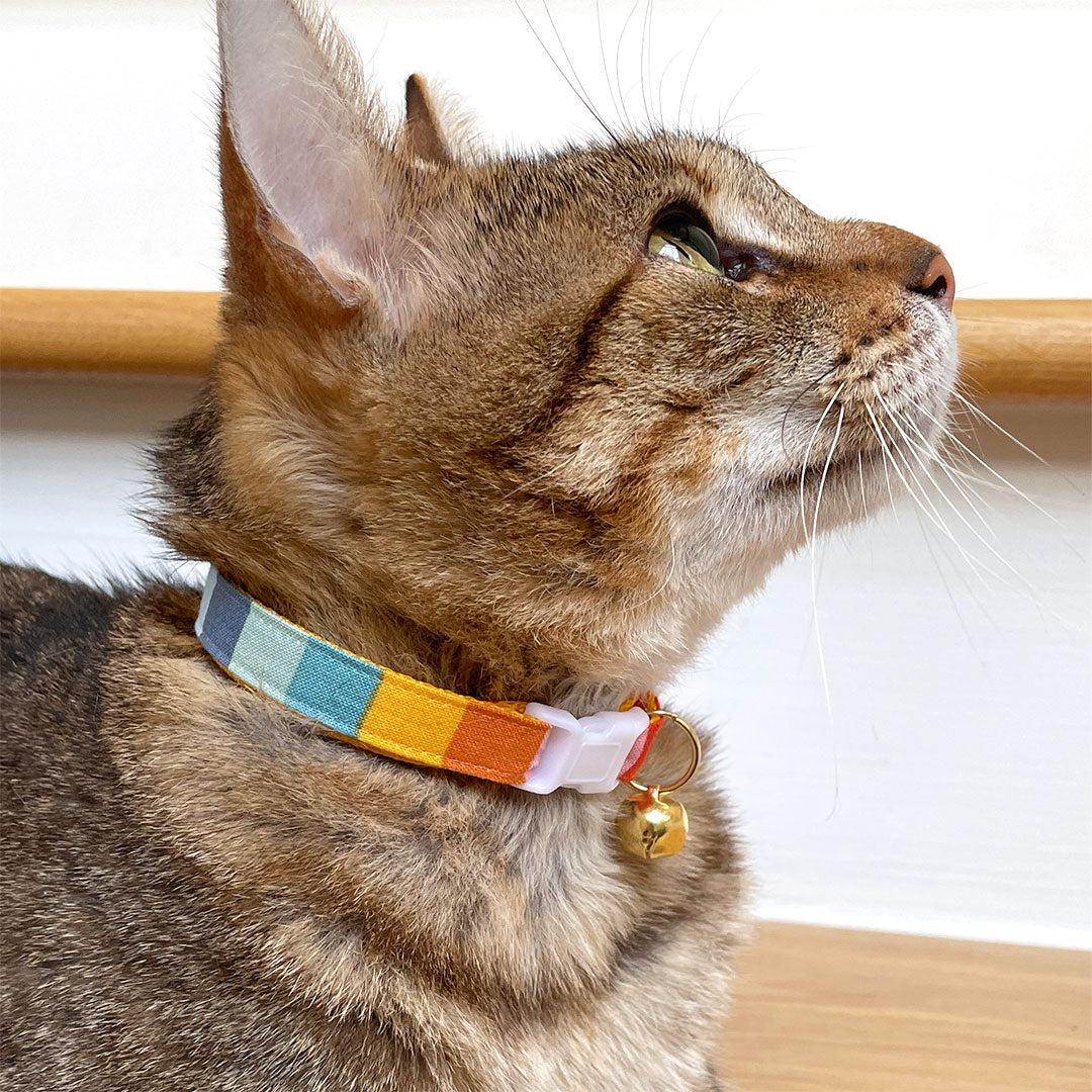 Bow Tie Cat Collar Set - "Carousel" - Rainbow Striped Cat Collar w/Matching Bowtie / Summer, LGBTQ, Birthday / Cat, Kitten, Small Dog Sizes