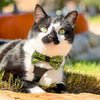 Bow Tie Cat Collar Set - "Creepy Critters - Poison Green" - Halloween Cat Collar w/ Matching Bowtie / Cat, Kitten, Small Dog Sizes