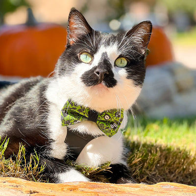 Cat Collar - "Creepy Critters - Poison Green" - Halloween Cat Collar / Breakaway Buckle or Non-Breakaway / Cat, Kitten + Small Dog Sizes