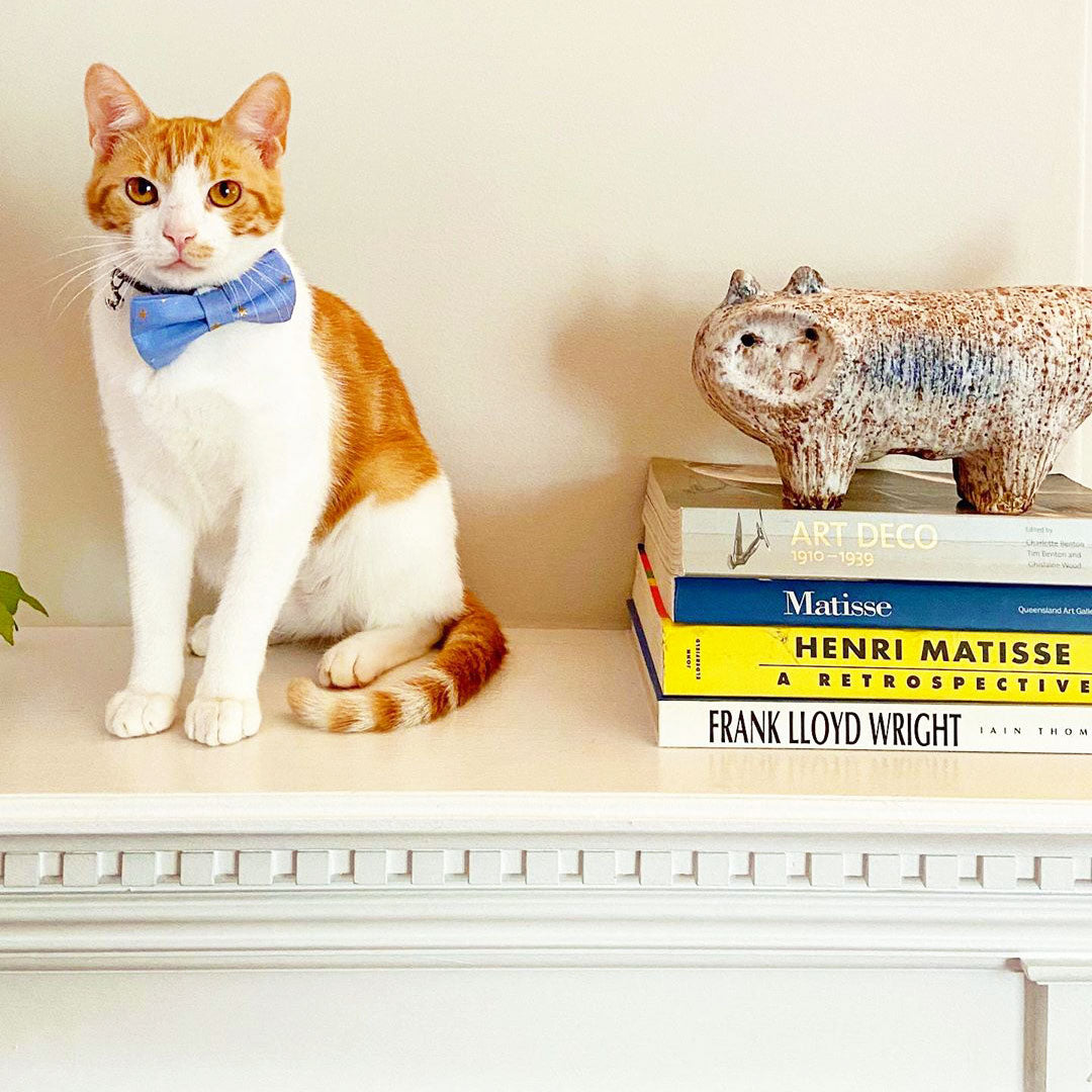 Rifle Paper Co® Bow Tie Cat Collar Set - "Dusk" - Periwinkle Blue w/ Gold Stars Cat Collar w/ Matching Bowtie / Cat, Kitten, Small Dog Sizes