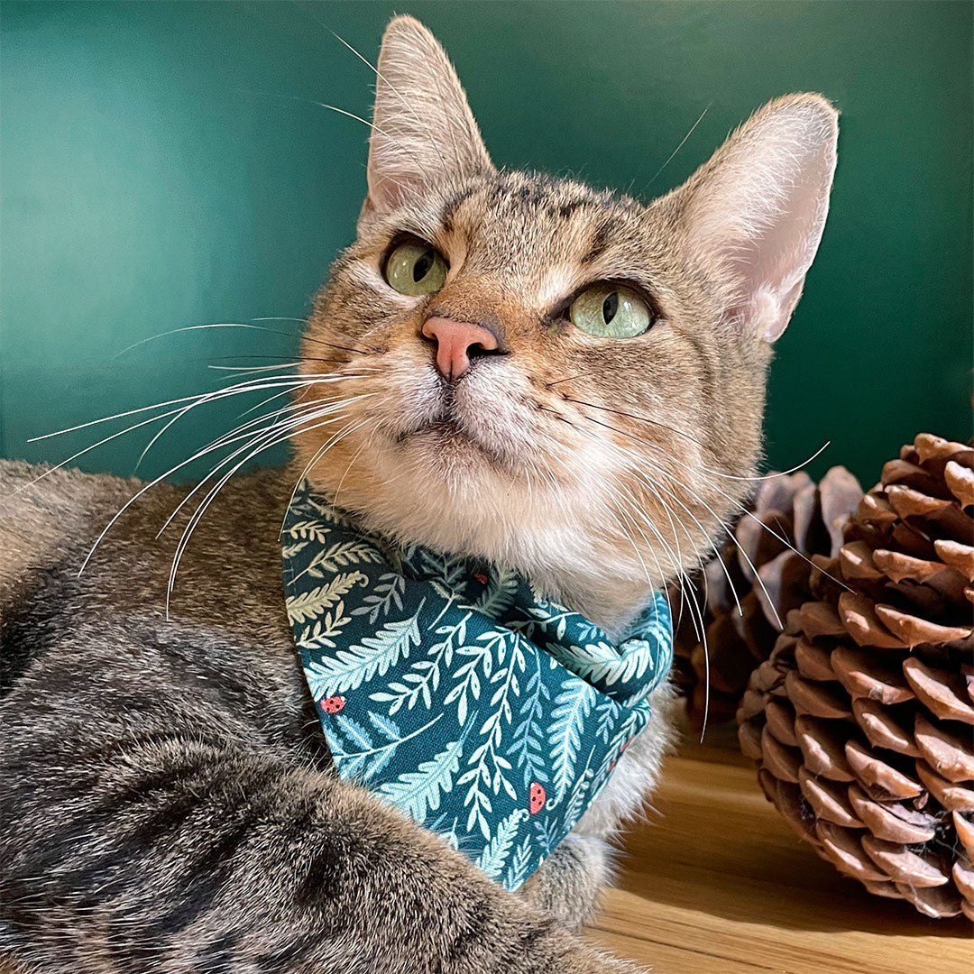 Pet Bandana - "Eden" - Sage & Woodland Botanical Green Bandana for Cat + Small Dog / Slide-on Bandana / Over-the-Collar (One Size)