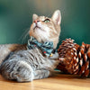 Cat Collar - "Eden" - Sage & Dark Green Cat Collar / Botanical, Ferns, Laurel / Breakaway Buckle or Non-Breakaway / Cat, Kitten + Small Dog Sizes