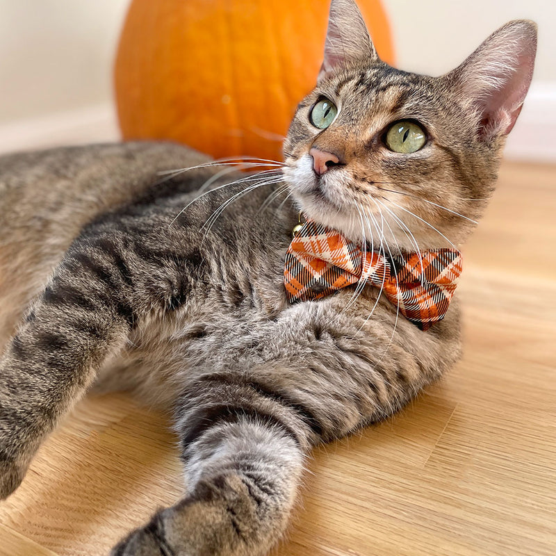 Bow Tie Cat Collar Set - "Ember" - Black & Orange Plaid Cat Collar w/ Matching Bowtie / Cat, Kitten, Small Dog Sizes