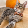 Pet Bow Tie - "Ember" - Black & Orange Plaid Cat Bow Tie / For Cats + Small Dogs (One Size)