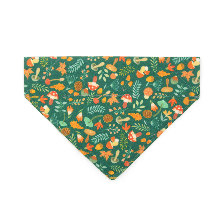 Pet Bandana - "Forest Fantasy" - Woodland Botanical Green Bandana w/ Mushrooms for Cat + Small Dog / Slide-on Bandana / Over-the-Collar (One Size)