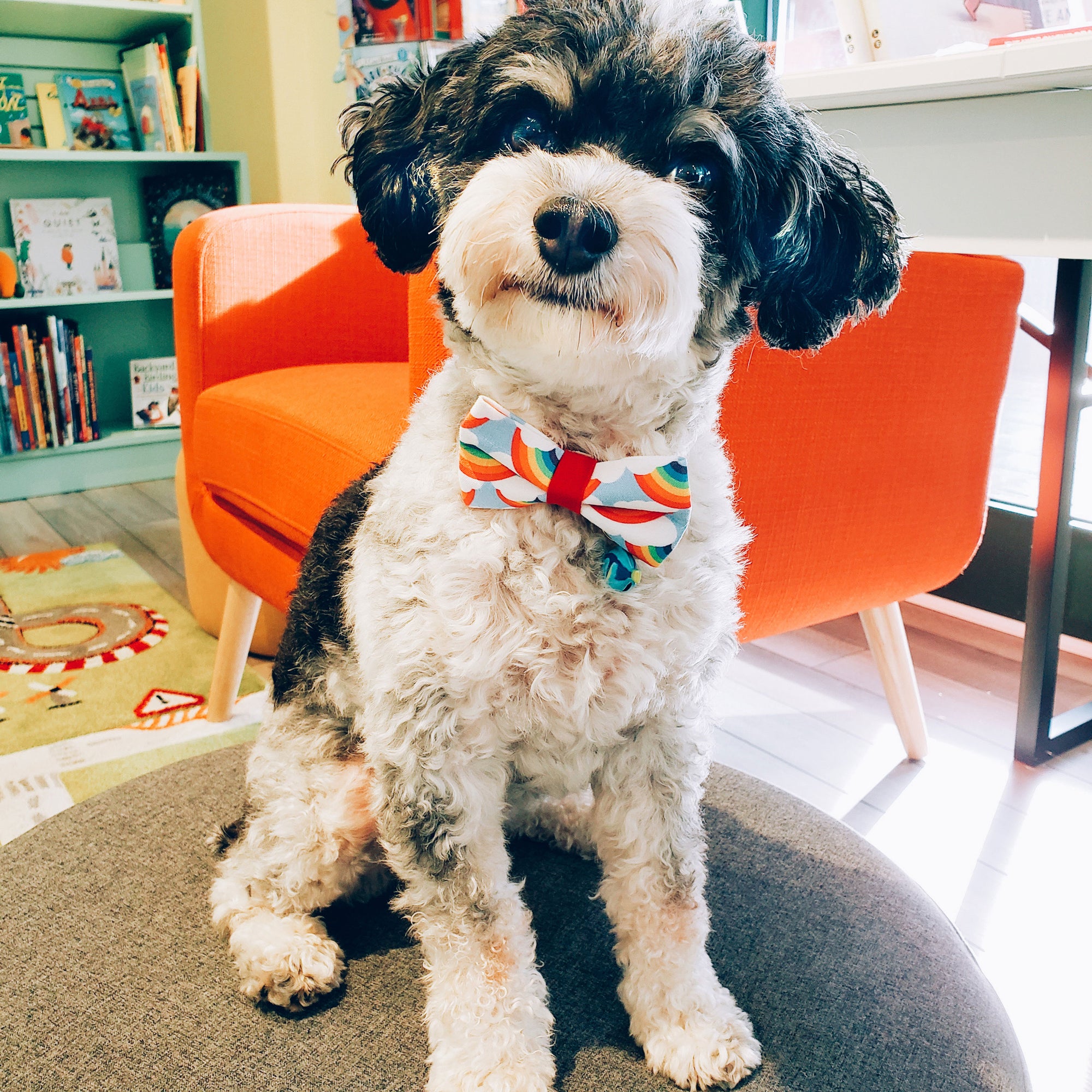 Bow Tie Cat Collar Set - "Rainbow Magic" - Cat Collar w/ Matching Bow Tie (Removable)