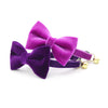 Pet Bow Tie - "Velvet - Royal Purple" - Rich Purple Velvet Bowtie / Wedding / For Cats + Small Dogs (One Size)