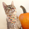 Pet Bandana - "Hoots & Hexes" - Black Cat, Owls + Jack-o-lanterns Halloween Bandana for Cat + Small Dog / Slide-on Bandana / Over-the-Collar (One Size)